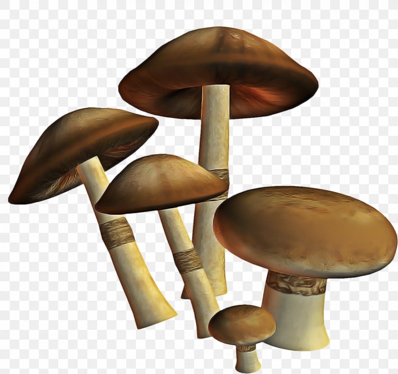 Mushroom Cartoon, PNG, 1301x1224px, Mushroom, Agaricaceae, Agaricomycetes, Agaricus, Bolete Download Free