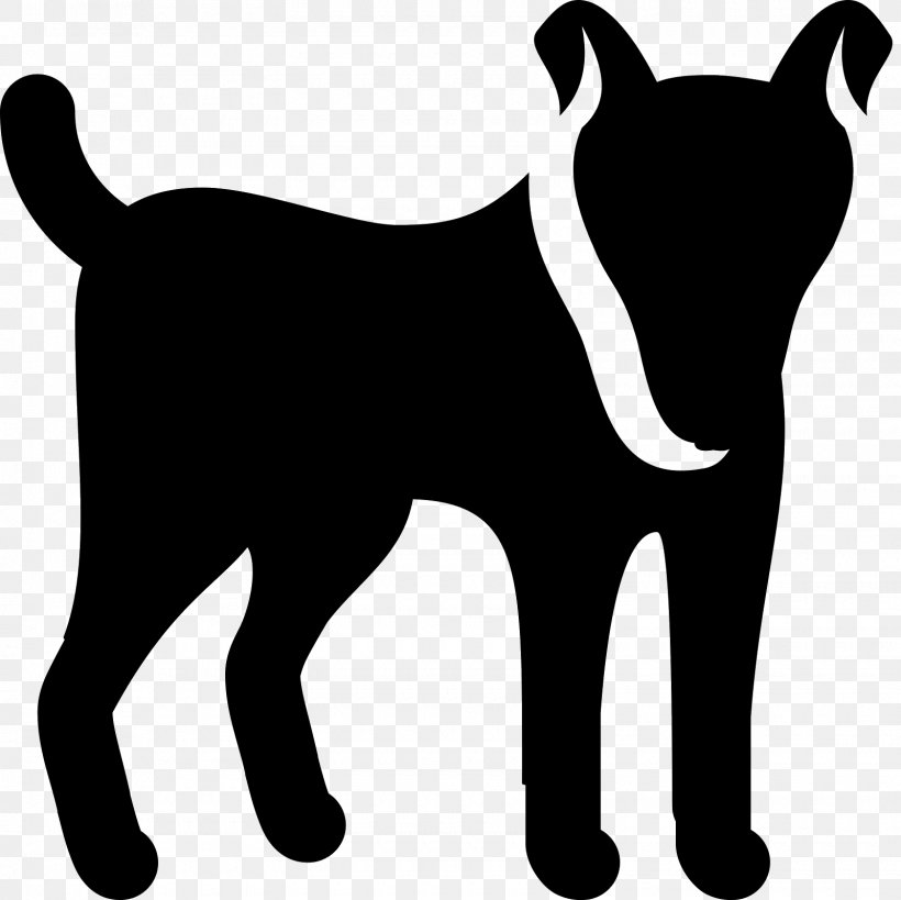 Shiba Inu Puppy Alaskan Malamute Rough Collie, PNG, 1600x1600px, Shiba Inu, Alaskan Malamute, Animal, Bark, Black Download Free