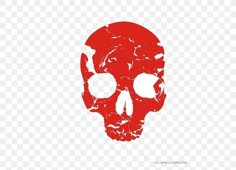 Skull Human Skeleton Bone, PNG, 1024x737px, Skull, Anatomy, Bone, Brand, Head Download Free