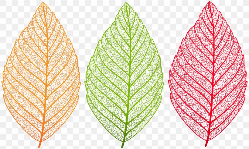 Autumn Leaf Color Clip Art, PNG, 8000x4780px, Leaf, Autumn, Autumn Leaf Color, Green, Information Download Free