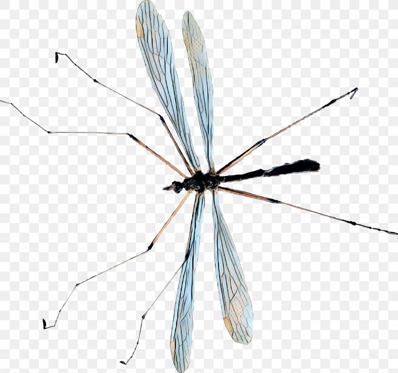 Fly Insect, PNG, 2129x1997px, Fly, Crane Flies, Crane Fly, Damselfly, Dragonflies And Damseflies Download Free