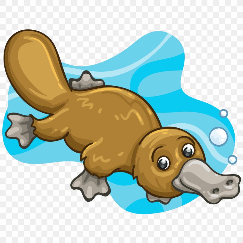 Platypus Mammal Monotreme Animal Dog, PNG, 1024x1024px, Platypus, Animal, Canidae, Carnivora, Carnivoran Download Free