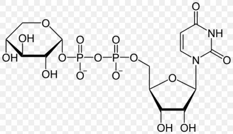 Uridine Triphosphate Uridine Diphosphate Glucose Adenosine Triphosphate, PNG, 1076x617px, Uridine Triphosphate, Adenosine Monophosphate, Adenosine Triphosphate, Area, Auto Part Download Free