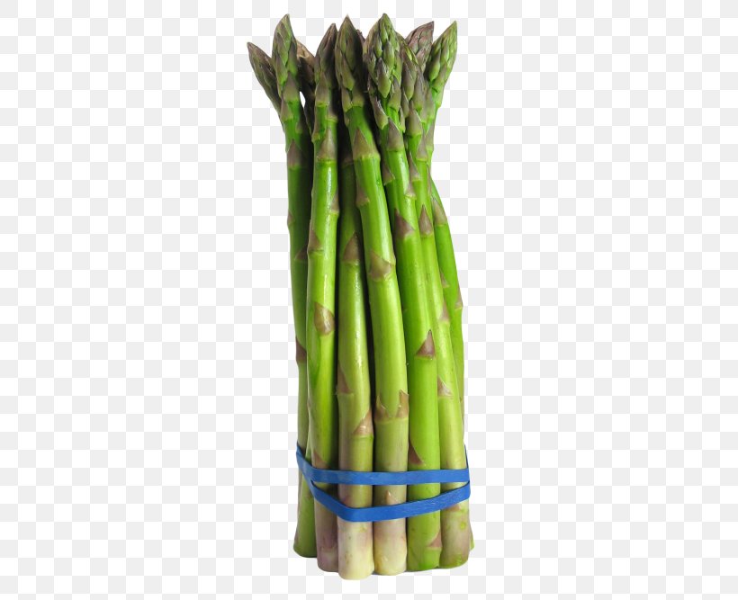 Asparagus Vegetable Broccoli Food Crop Yield, PNG, 500x667px, Asparagus, Bamboo Shoot, Broccoli, Commodity, Cooking Download Free