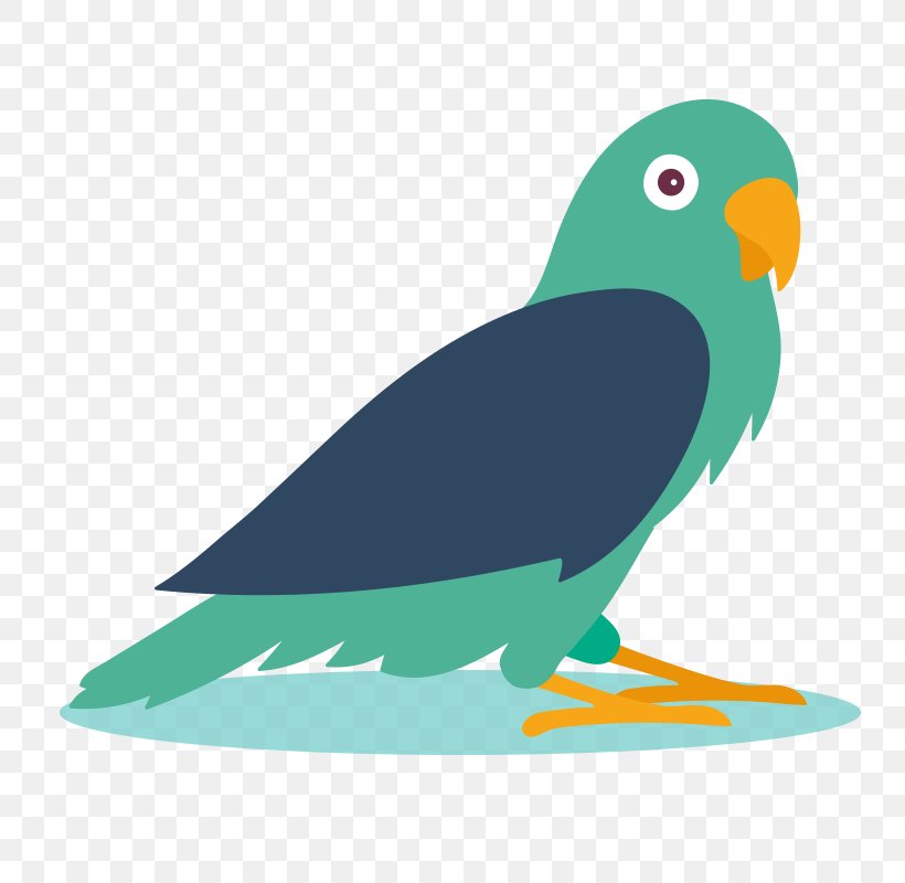 Parrot Bird Clip Art Image, PNG, 800x800px, Parrot, Animal, Beak, Bird, Bird Of Prey Download Free