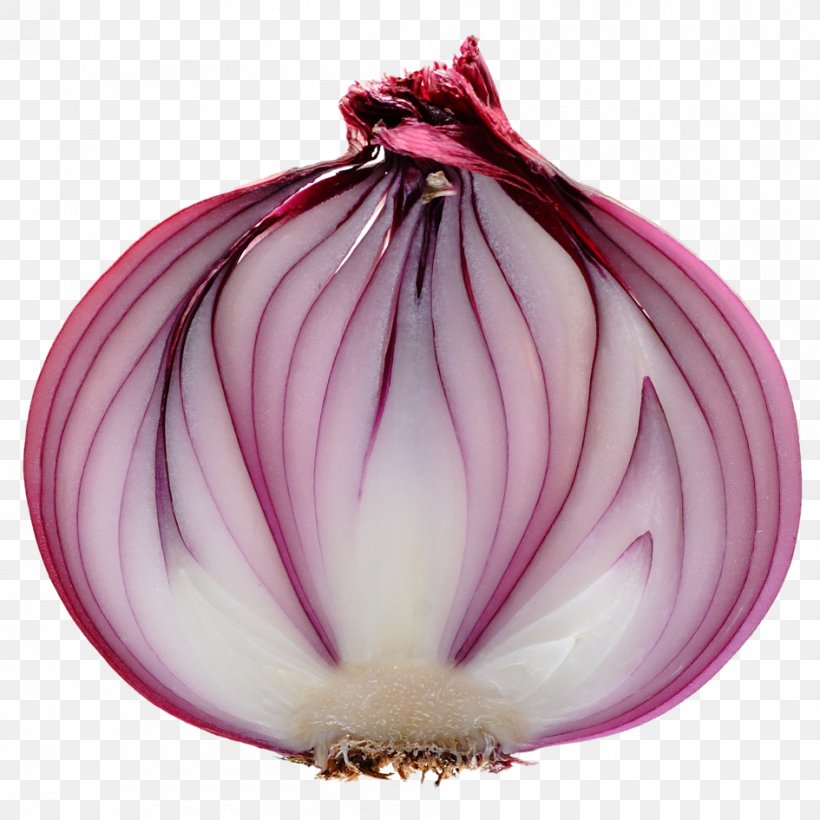 Shallot Onion Ring Red Onion White Onion, PNG, 945x945px, Shallot, Allium Fistulosum, Chives, Flowering Plant, Food Download Free