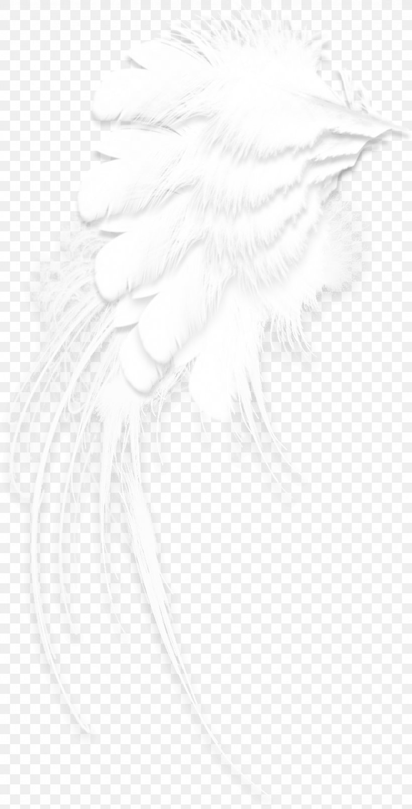 Black And White Drawing Pattern, PNG, 871x1710px, Black And White, Bird, Black, Character, Drawing Download Free