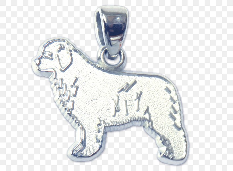 Dog Locket Silver Body Jewellery, PNG, 600x600px, Dog, Body Jewellery, Body Jewelry, Carnivoran, Dog Like Mammal Download Free