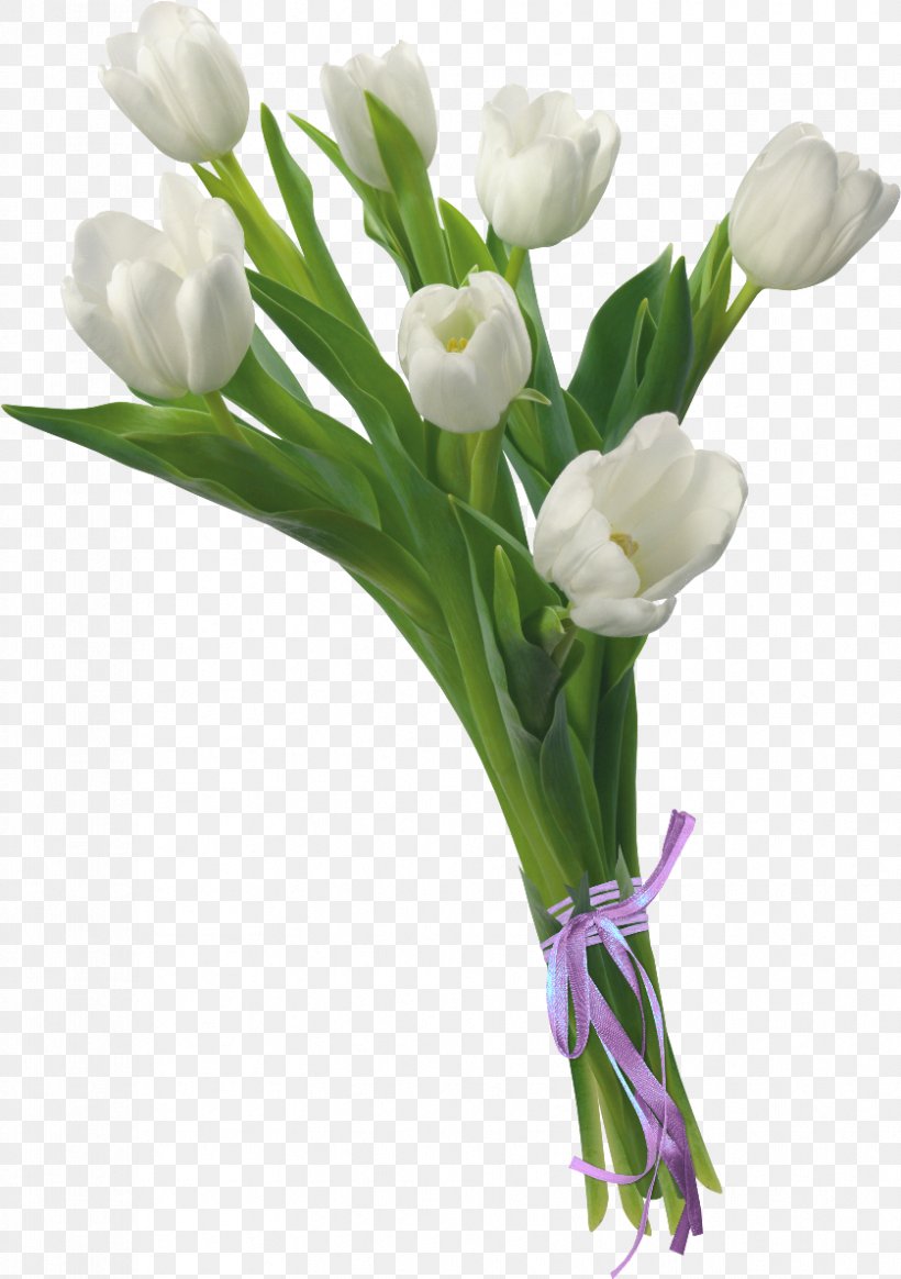 Floral Design Tulip Flower Bouquet Cut Flowers, PNG, 838x1190px, Floral Design, Bud, Crocus, Cut Flowers, Floristry Download Free