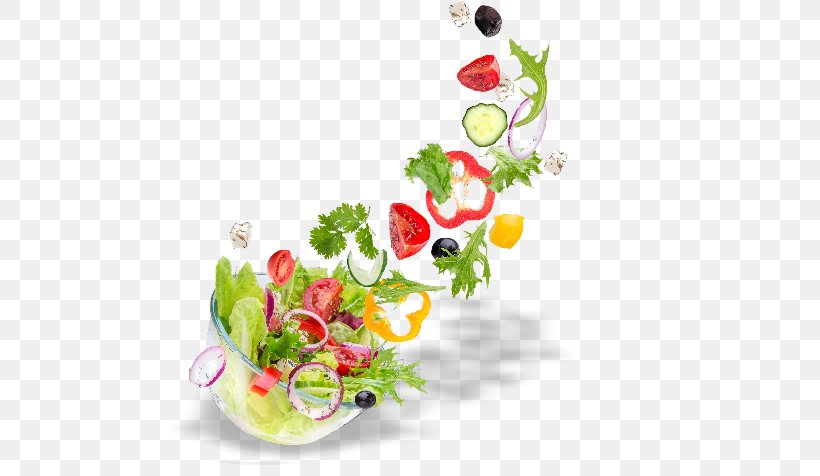 Greek Salad Vegetable Greek Cuisine Stock Photography, PNG, 546x476px, Greek Salad, Cheese, Cut Flowers, Detoxification, Flora Download Free