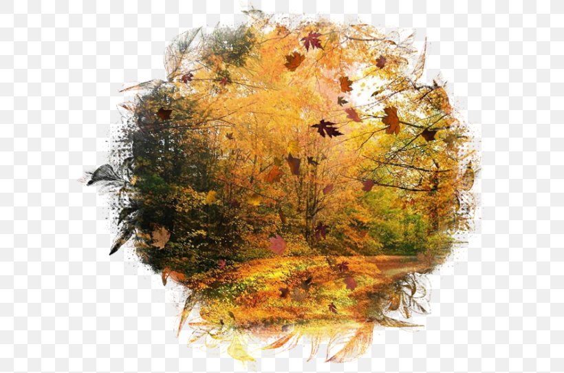 Autumn Landscape Painting Season Leaf, PNG, 600x542px, Autumn, Art, Landscape, Landscape Painting, Leaf Download Free