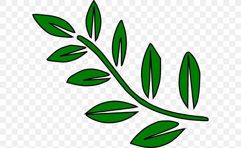 Branch Leaf Tree Clip Art, PNG, 600x506px, Branch, Bay Laurel, Black And White, Drawing, Free Content Download Free