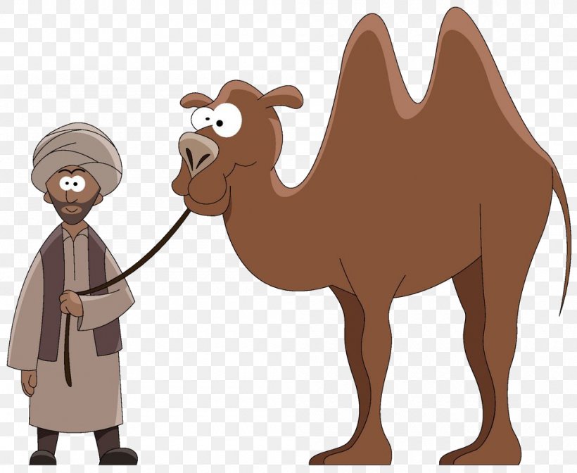 camel cartoon drawing