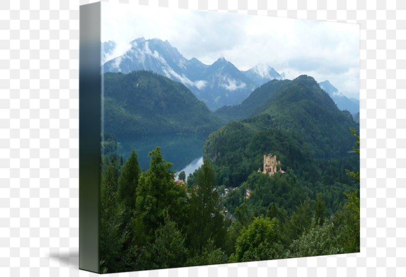Mount Scenery Neuschwanstein Castle Nature Reserve Wilderness, PNG, 650x560px, Mount Scenery, Alps, Biome, Forest, Highland Download Free