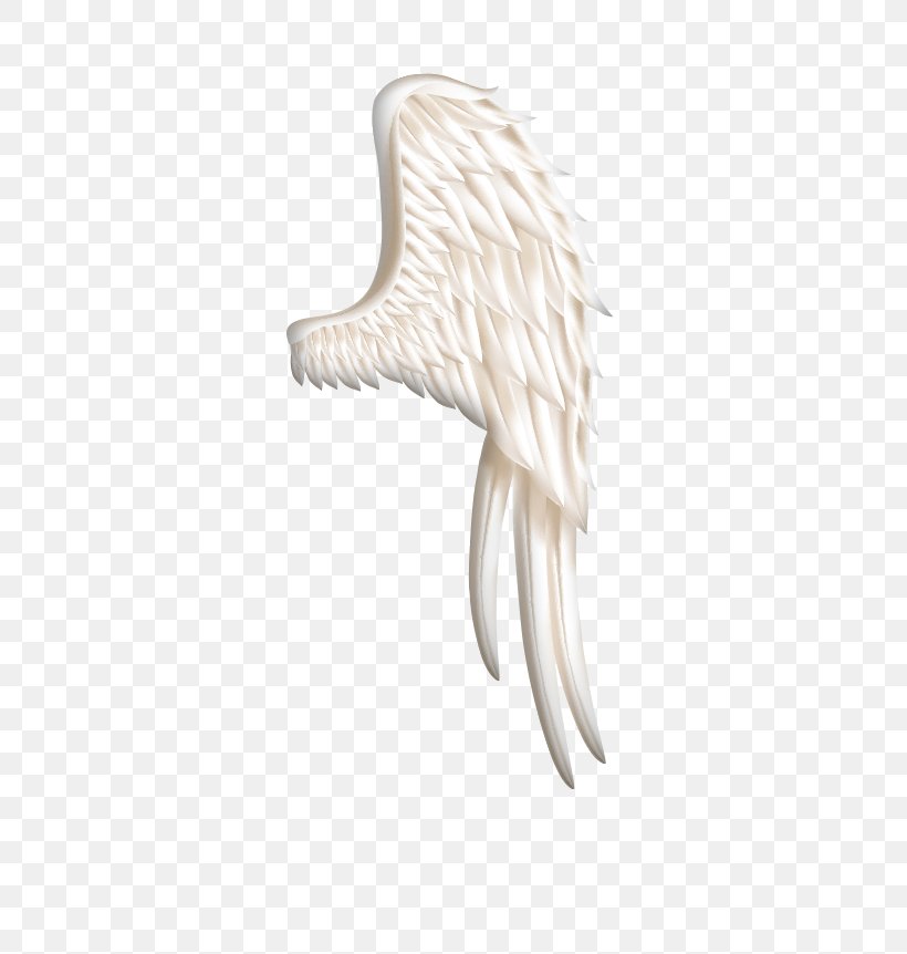 Wing Clip Art, PNG, 326x862px, Wing, Angel Wing, Animation, Beak, Drawing Download Free