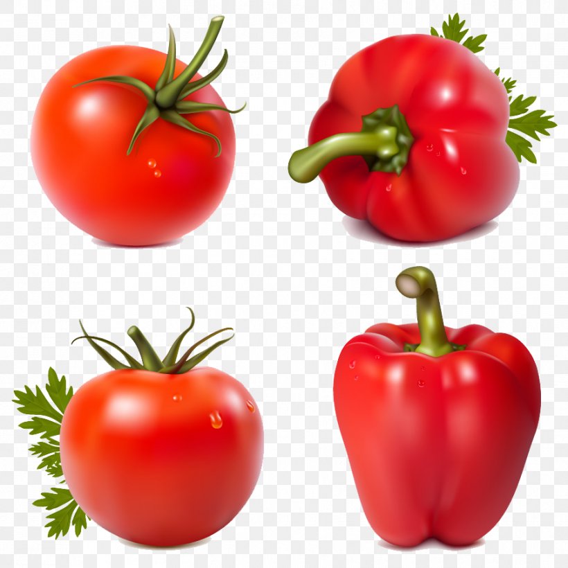 Bell Pepper Cherry Tomato Vegetable Pimiento, PNG, 904x905px, Bell Pepper, Bell Peppers And Chili Peppers, Bush Tomato, Capsicum, Capsicum Annuum Download Free