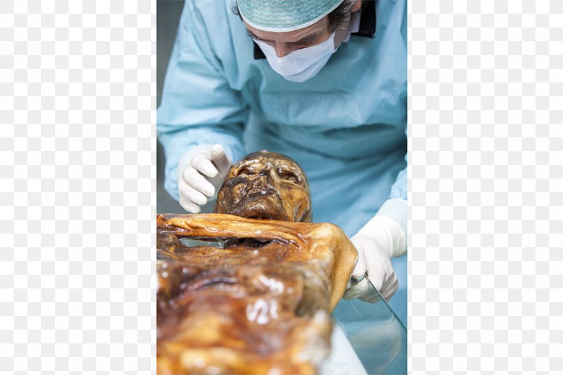 Eurac Research Ötzi Mummy Tattoo Bioarchaeology, PNG, 900x600px, Mummy, Ancient History, Animal Source Foods, Bioarchaeology, Bolzano Download Free
