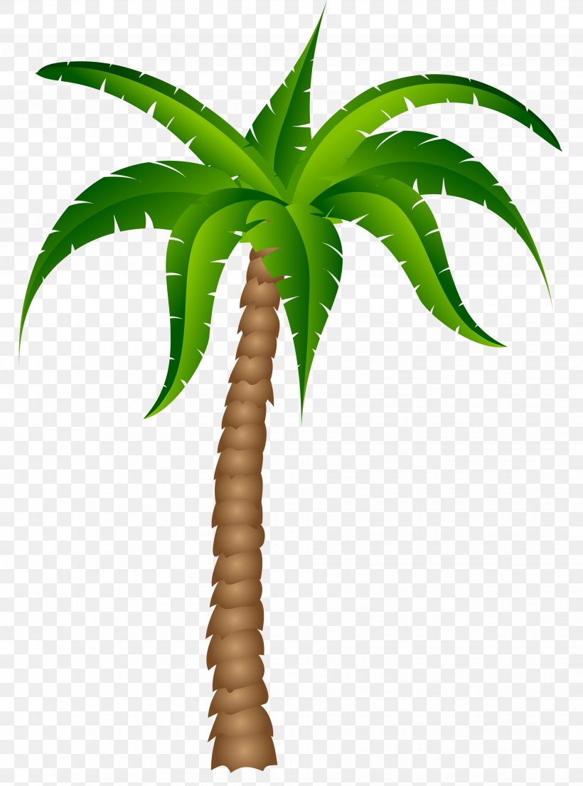 Palm Trees Clip Art, PNG, 3672x4952px, Arecaceae, Arecales, Art, Coconut, Color Download Free