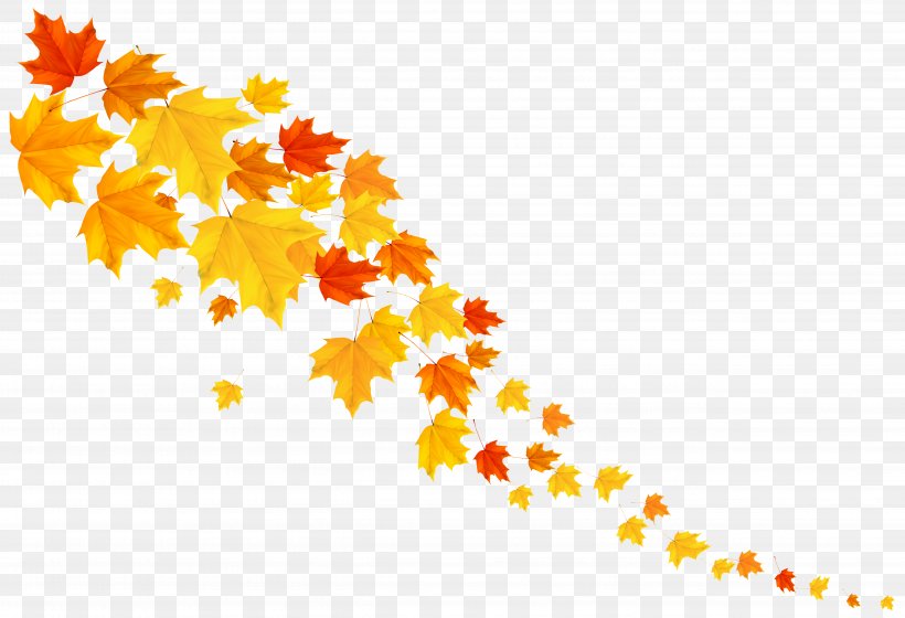 Autumn Leaf Color Clip Art, PNG, 5187x3547px, Autumn Leaf Color, Art, Autumn, Branch, Floral Design Download Free