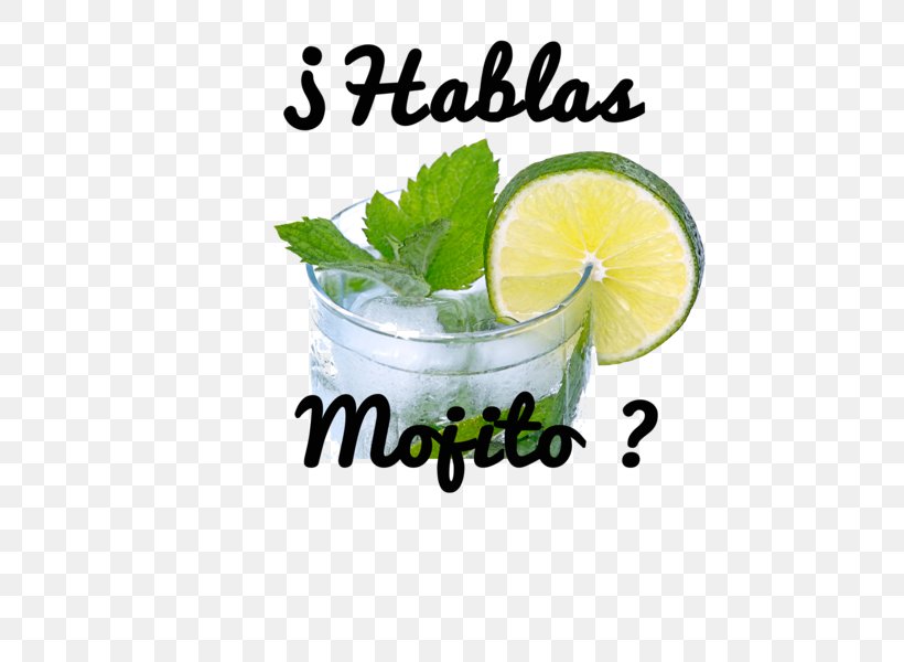 Mojito Lime Cocktail Garnish Lemonade, PNG, 600x600px, Mojito, Bartender, Cocktail, Cocktail Garnish, Cocktail Glass Download Free