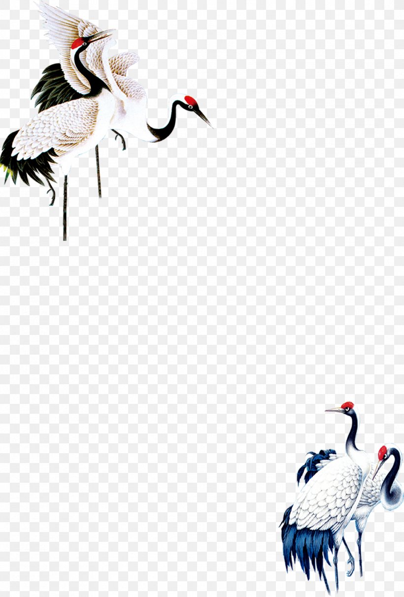 Red-crowned Crane Bird Euclidean Vector, PNG, 1083x1601px, Crane, Beak, Bird, Ciconiiformes, Crane In Chinese Mythology Download Free