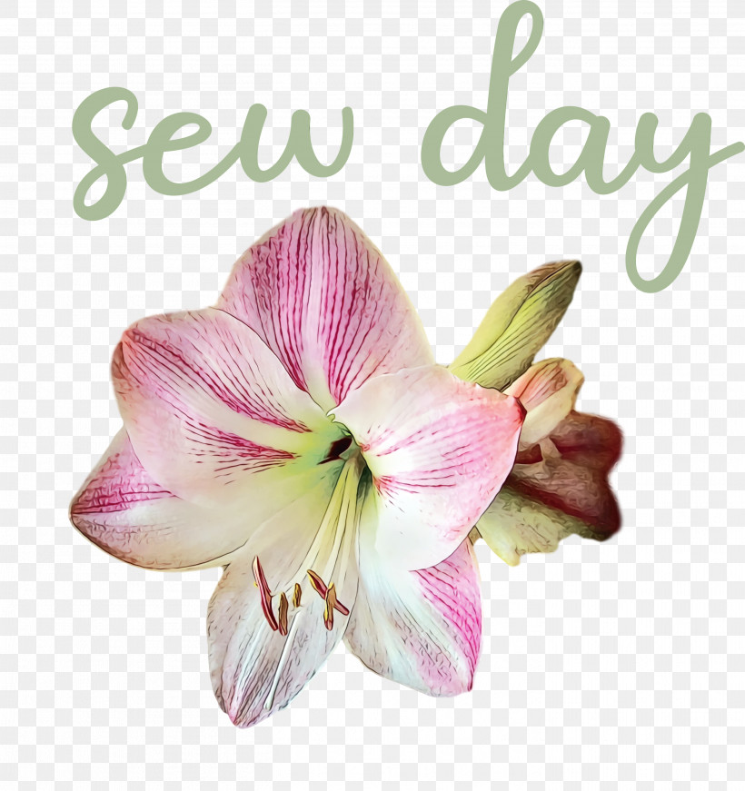 Cut Flowers Jersey Lily Moth Orchids Hippeastrum Flower, PNG, 2822x3000px, Watercolor, Amaryllis, Biology, Cut Flowers, Flower Download Free