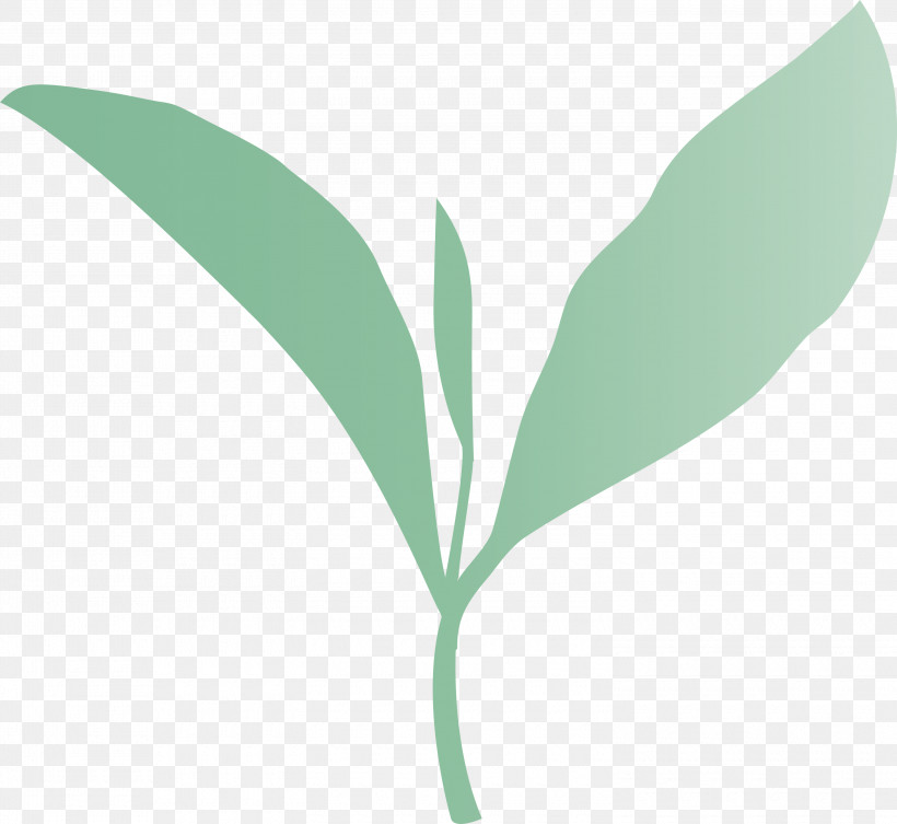 Tea Leaves Leaf Spring, PNG, 3000x2758px, Tea Leaves, Common Sage, Eucalyptus, Flower, Leaf Download Free