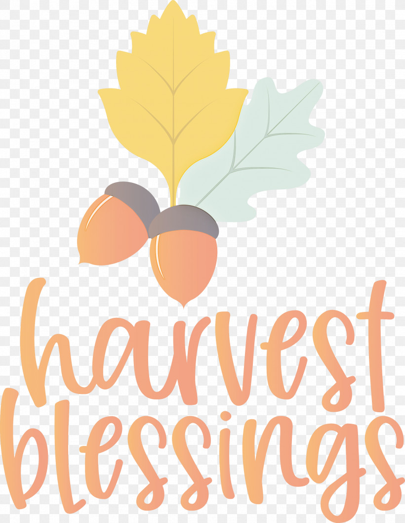 Harvest Autumn Thanksgiving, PNG, 2324x3000px, Harvest, Autumn, Biology, Flower, Fruit Download Free