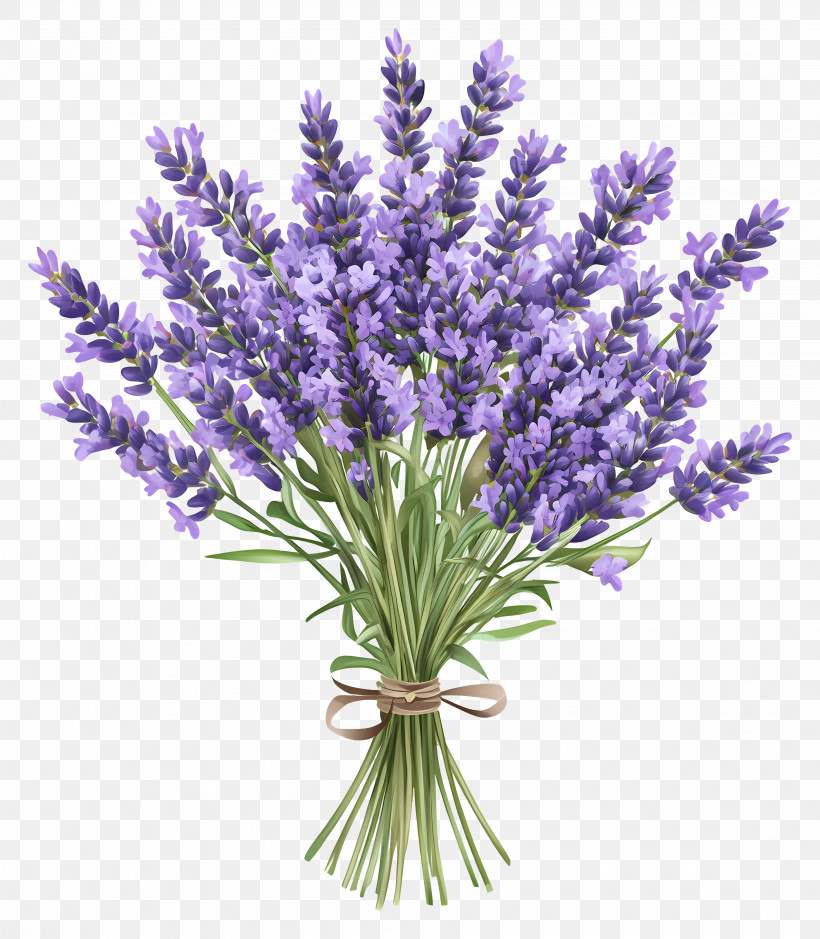 Lavender Bouquet - Beautiful Lavender Bouquet PNG