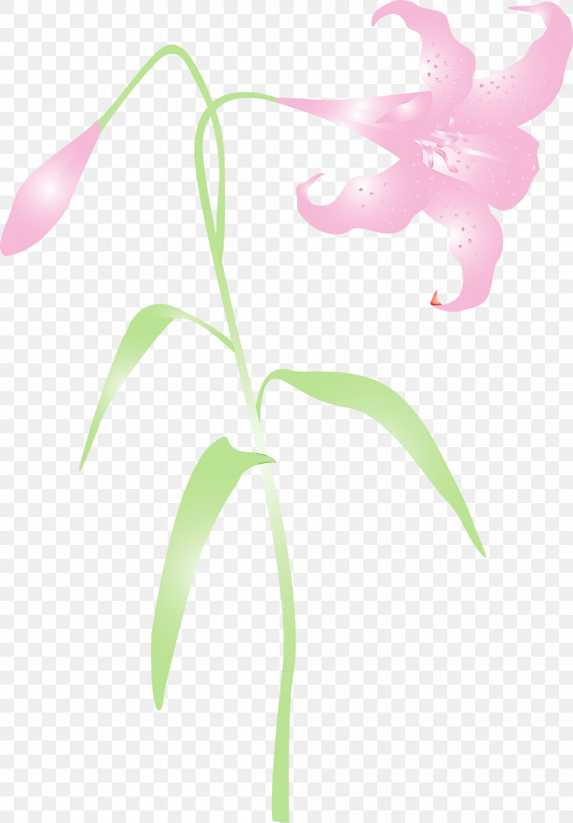 Flower Plant Pink Leaf Plant Stem, PNG, 2087x3000px, Easter Flower, Flower, Herbaceous Plant, Impatiens, Leaf Download Free