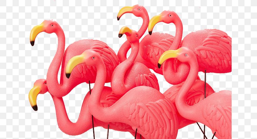Greater Flamingo Pink, PNG, 658x444px, Flamingo, Art, Bird, Event Management, Flamingos Download Free