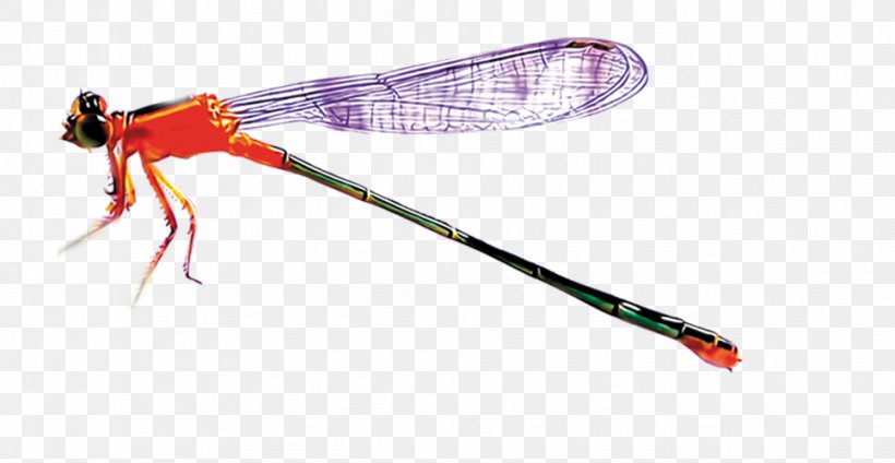 Insect Dragonfly Icon, PNG, 966x500px, Insect, Cartoon, Color, Dragonfly, Highdefinition Television Download Free