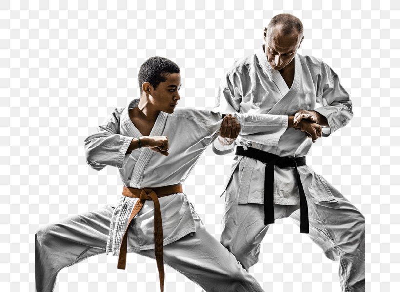 Tang Soo Do Taekwondo Martial Arts Karate Dobok, PNG, 678x600px, Tang Soo Do, Black Belt, Chinese Martial Arts, Dobok, Haidong Gumdo Download Free