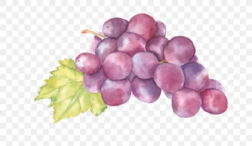 Watercolor Painting Grape Art Auglis, PNG, 768x476px, Watercolor Painting, Art, Auglis, Cherry, Flowering Plant Download Free