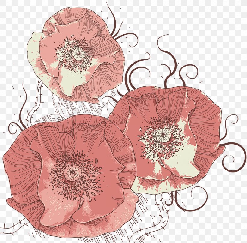 Flower Line Poppy, PNG, 1200x1182px, Flower, Bud, Cut Flowers, Floral Design, Floristry Download Free