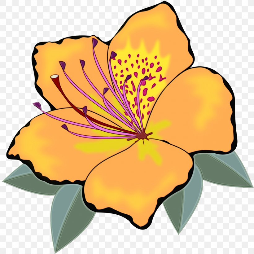 Flowering Plant Petal Flower Yellow Clip Art, PNG, 1280x1280px, Watercolor, Flower, Flowering Plant, Hawaiian Hibiscus, Hibiscus Download Free