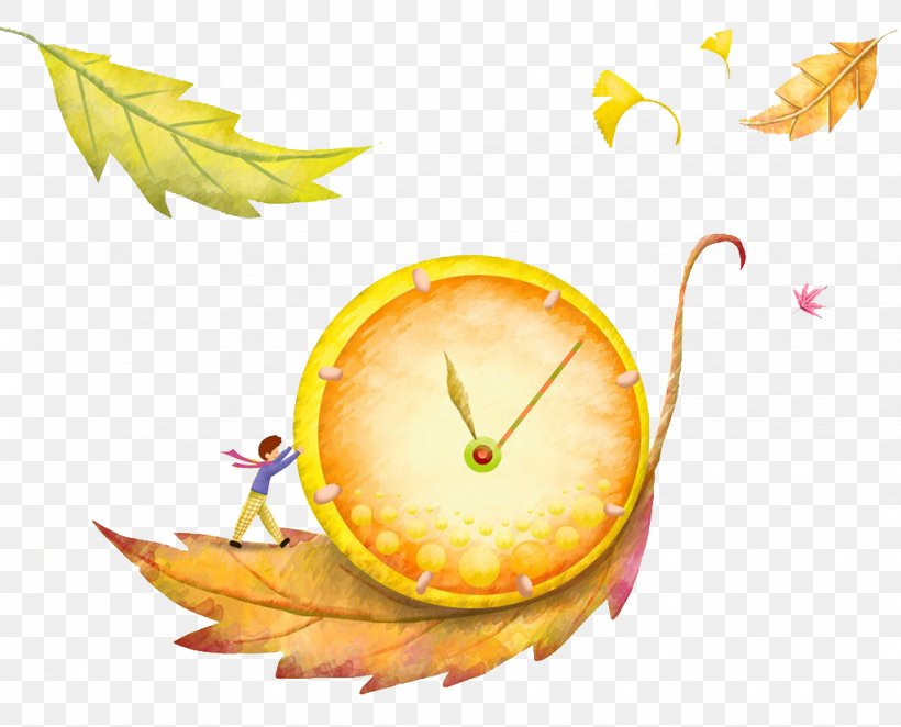 Leaf Watch, PNG, 1024x827px, Leaf, Food, Fruit, Orange, Watch Download Free
