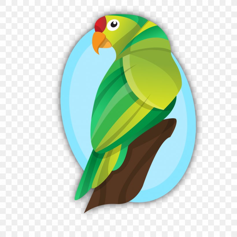 Parrot Bird, PNG, 1000x1000px, Parrot, Animal, Beak, Bird, Common Pet Parakeet Download Free