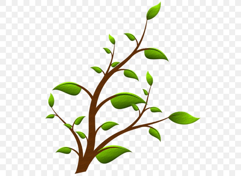 Plant Stem Leaf Flower Clip Art, PNG, 573x600px, Plant Stem, Branch, Flora, Flower, Flowering Plant Download Free