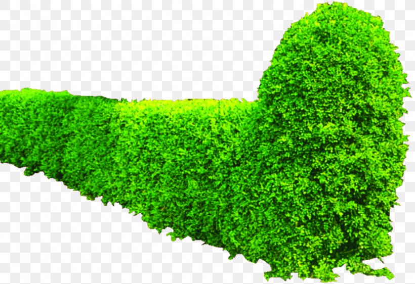 Shrub Greening Hedge, PNG, 924x634px, Shrub, Autodesk 3ds Max, Garden, Grass, Green Download Free