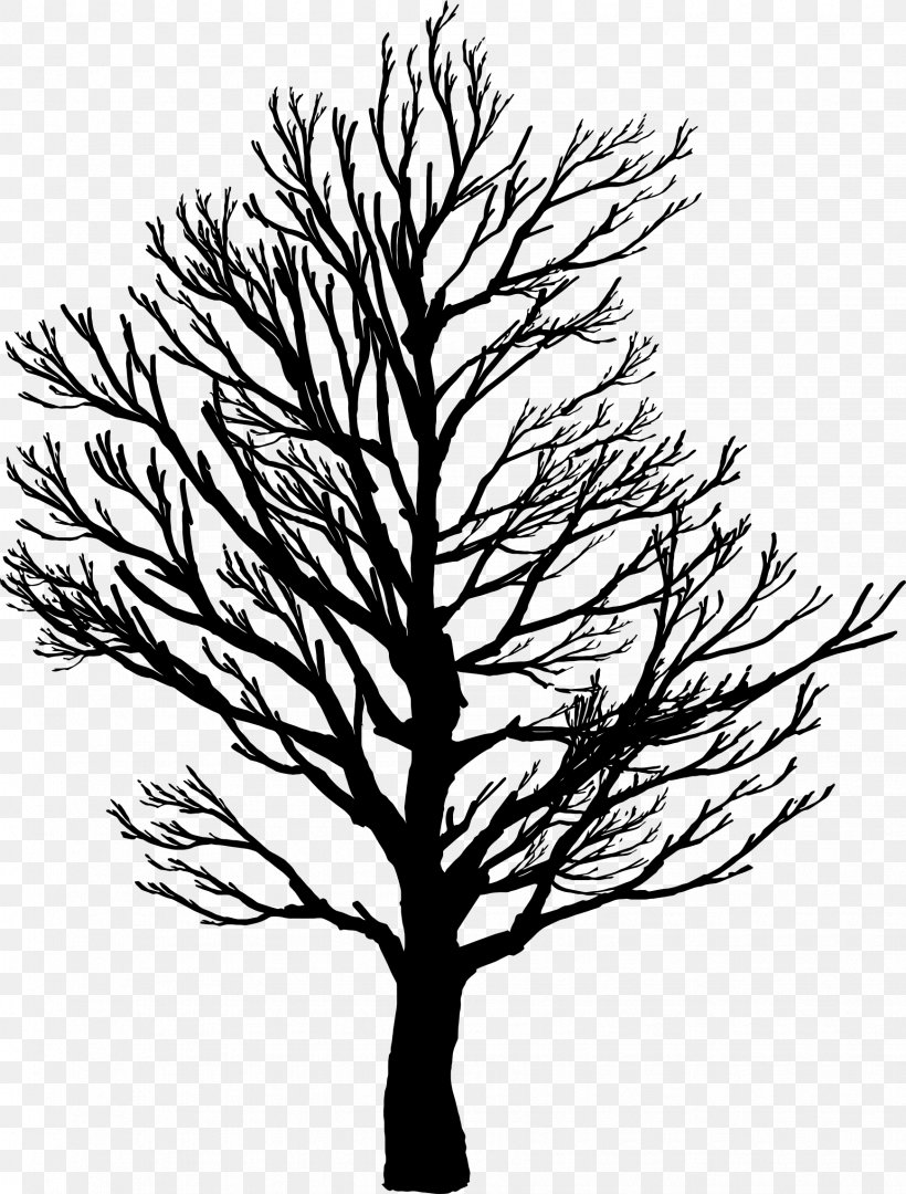 Tree Branch Clip Art, PNG, 1738x2290px, Tree, Black And White, Branch, Fir, Flowering Plant Download Free