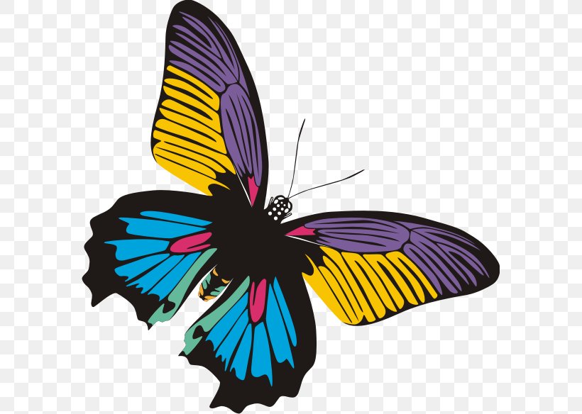 Butterfly Insect Clip Art, PNG, 589x584px, Butterfly, Arthropod, Blog, Brush Footed Butterfly, Butterflies And Moths Download Free