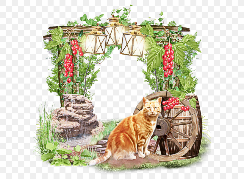Christmas Ornament, PNG, 600x600px, Cat, Christmas Ornament, Interior Design, Maine Coon, Plant Download Free