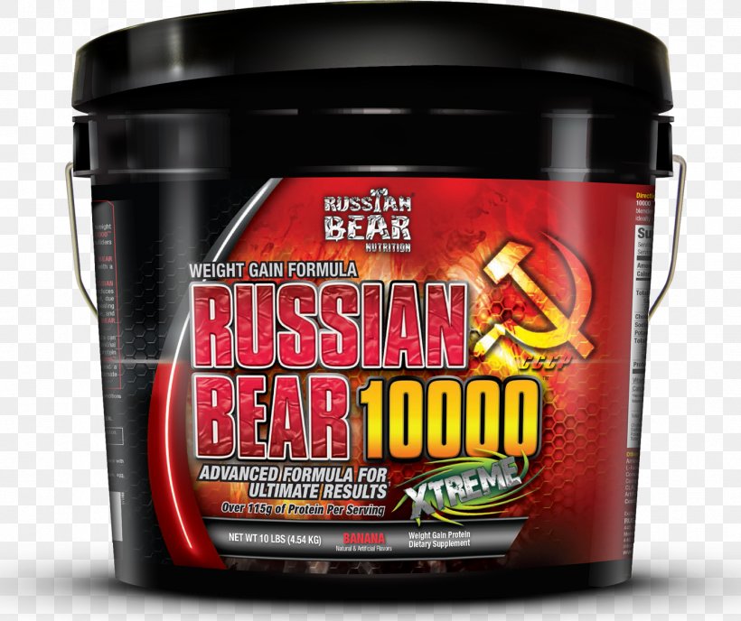 Dietary Supplement Bodybuilding Supplement Gainer Russian Bear Nutrition, PNG, 1391x1168px, Dietary Supplement, Bodybuilding, Bodybuilding Supplement, Brand, Carbohydrate Download Free