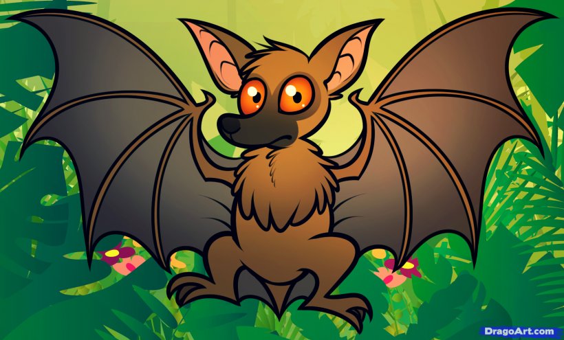 Megabat Drawing Cartoon Clip Art, PNG, 1569x948px, Bat, Art, Butterfly, Carnivoran, Cartoon Download Free