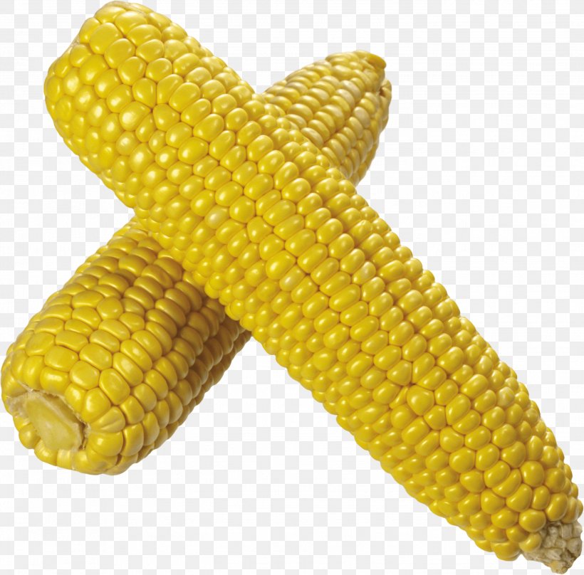 Popcorn Flint Corn Corn On The Cob Sweet Corn, PNG, 2787x2747px, Popcorn, Cereal, Commodity, Corn Kernels, Corn On The Cob Download Free