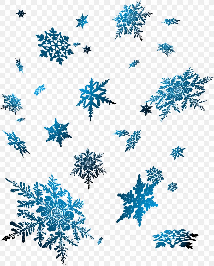 Snowflake, PNG, 1016x1262px, Snowflake, Art, Blue, Border, Designer Download Free