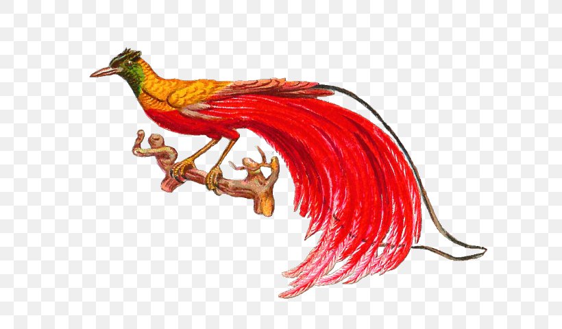 Bird-of-paradise Clip Art Vector Graphics, PNG, 640x480px, Bird, Animal Figure, Beak, Birdofparadise, Blue Birdofparadise Download Free
