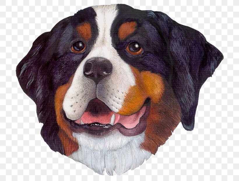 Dog Gingerbread Baby Clip Art, PNG, 736x620px, Dog, Animal, Animation, Bernese Mountain Dog, Carnivoran Download Free