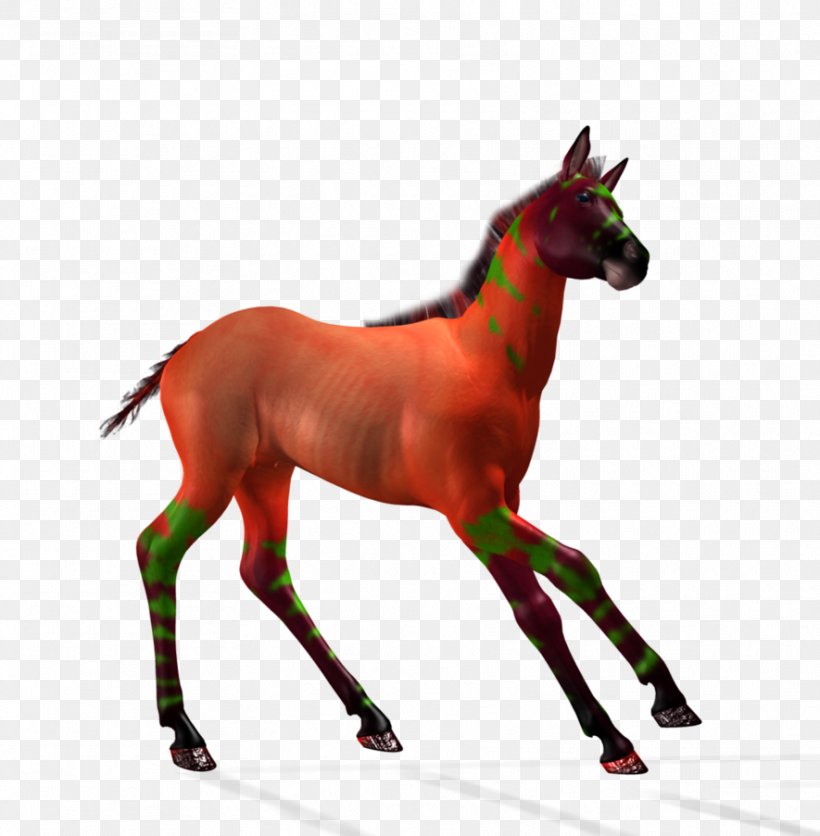 Foal Stallion Mare Colt Mustang, PNG, 885x903px, Foal, Art, Artist, Colt, Deviantart Download Free